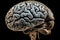 human brain, head. Generative AI.