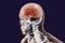 Human brain highlighted inside body, 3D illustration