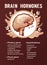 Human brain hormones information poster