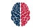 Human brain icon colored isolated vector image