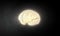 Human brain image