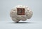 Human brain with a library inside and books