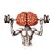 Human brain lifts weight with dumbbell, memory and mind training, brain power and mindset, generative AI
