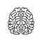 Human brain linear icon. Thin line illustration. Nervous system organ. Contour symbol. Vector isolated outline drawing