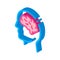 Human Brain In Man Silhouette Mind isometric icon