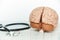 Human brain model and a black stethoscope on background of brain