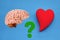 Human brain model and ceramic heart model on a blue background, concept of priority of love or reason, close-up, copy space