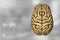 Human brain, neurology study concept - highly detailed modern texture, medical 3D illustration