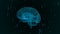 The human brain. Plexus with exclamation marks and question marks . Beautiful background. The concept of science