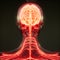 Human Brain Radiology Exam