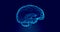 Human Brain X-Ray: Anatomy, Medicine and Science concept