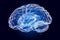 Human Brain, x-ray hologram. 3D rendering