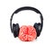 Human brain rubber with headphones