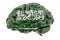 Human brain with Saudi Arabian flag. Scientific research and education in Saudi Arabia concept, 3D rendering