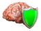 Human brain with shield, brain protect concept. 3D rendering