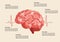 Human brain stroke illustration