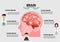 Human brain stroke illustration