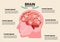 Human brain stroke illustration