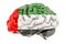 Human brain with the UAE flag. Scientific research and education in the United Arab Emirates concept, 3D rendering