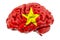 Human brain with Vietnamese flag. Scientific research and education in Vietnam concept, 3D rendering