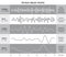 Human Brain Waves Diagram / Chart / Illustration