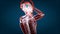 Human and brain xray, human anatomy, 3D Animated