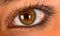 Human brown eye detail