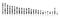 Human chromosomes ideogram. Differential staining.