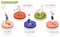 Human Circadian Rhythms Isometric Infographics