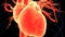 Human Circulatory System Heart Beat Anatomy Animation Concept