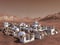 Human colony on Mars