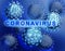 Human Coronavirus 2019-nCoV