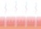 Human Cutaneous Respiration Skin Breathing