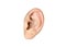 Human ear closeup