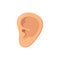 Human ear in front. The ear is like a sense organ. Part of the face. The organ of hearing. Vector illustration isolated