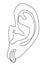 Human ear silhouette and earrings in modern style with one solid line and leaves. Sketches for decor, posters, stickers, logo. Vec