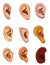 Human ears