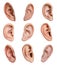 Human ears on white background, collage. Organ of hearing and balance