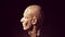 Human Ecorche Flayed Head Face Anatomical Musculature Display Halloween Sculpture Left View