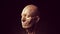 Human Ecorche Flayed Head Face Anatomical Musculature Display Halloween Sculpture Quarter Left View