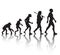 Human evolution