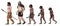 Human evolution illustration