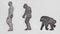 Human Evolution Timeline Pencil Sketch Seamless Loop