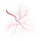 Human eye blood veins vessels silhouettes vector illustration isolated on white background.