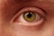 Human eye close-up macro photography, structure of the human eye organ, cornea, iris, lens, lashes