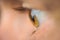 Human eye close up profile brown eyelashes