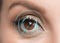 Human eye close up. Retina identification concept. Digital id concept