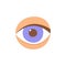 Human eye in front. The eye is like a sense organ. Part of the face. The organ of vision. Vector illustration isolated