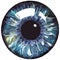 human eye iris, acrylic painting, fluid art