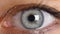 Human eye iris contracting. Extreme close up